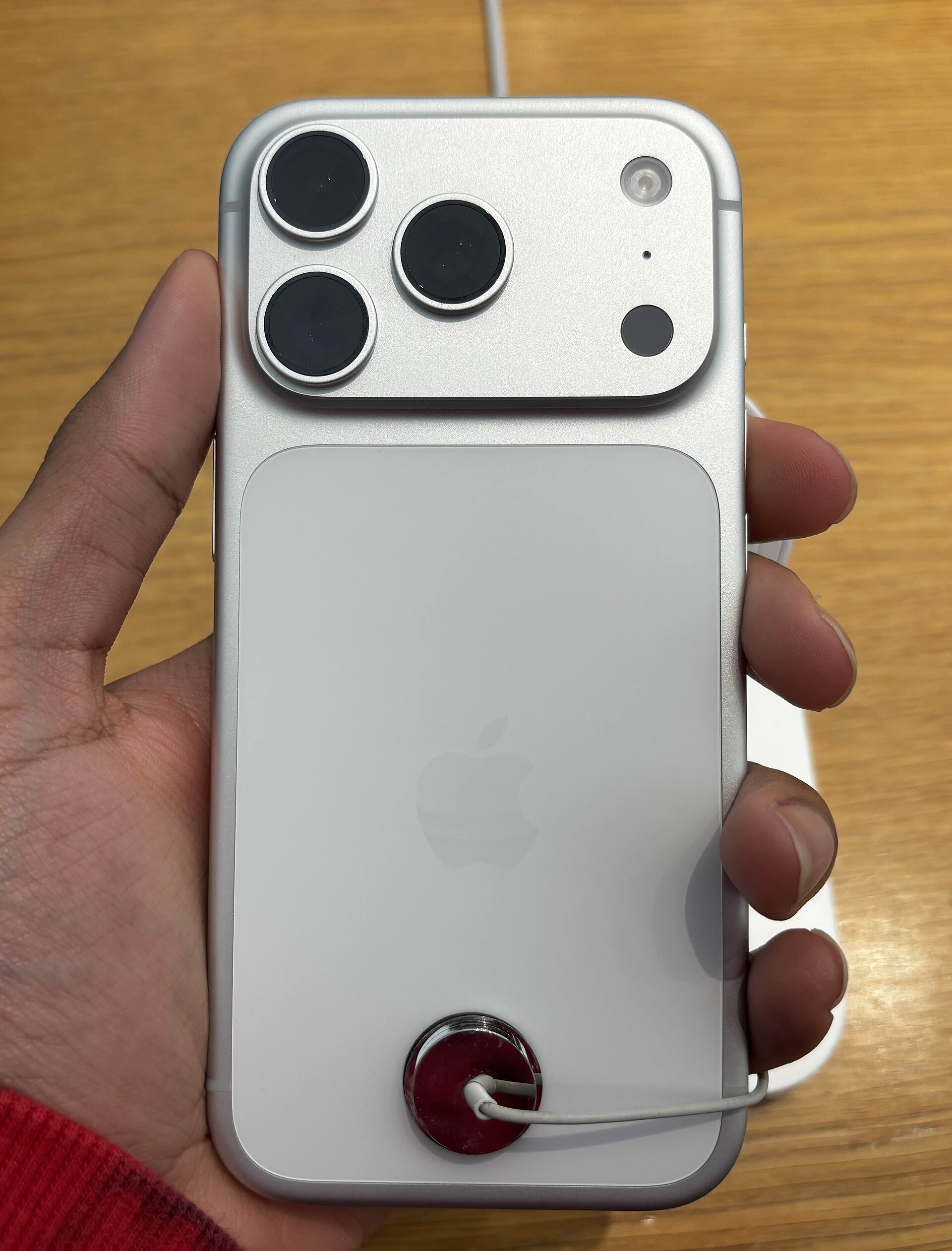 IPhone 17 Pro (Silver) - Backside